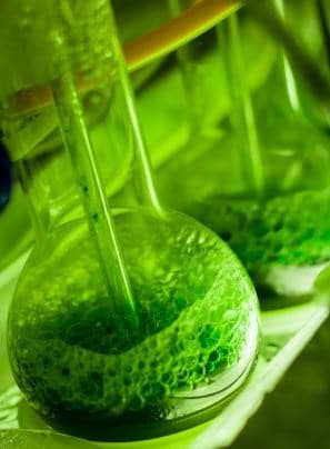 green-chemistry